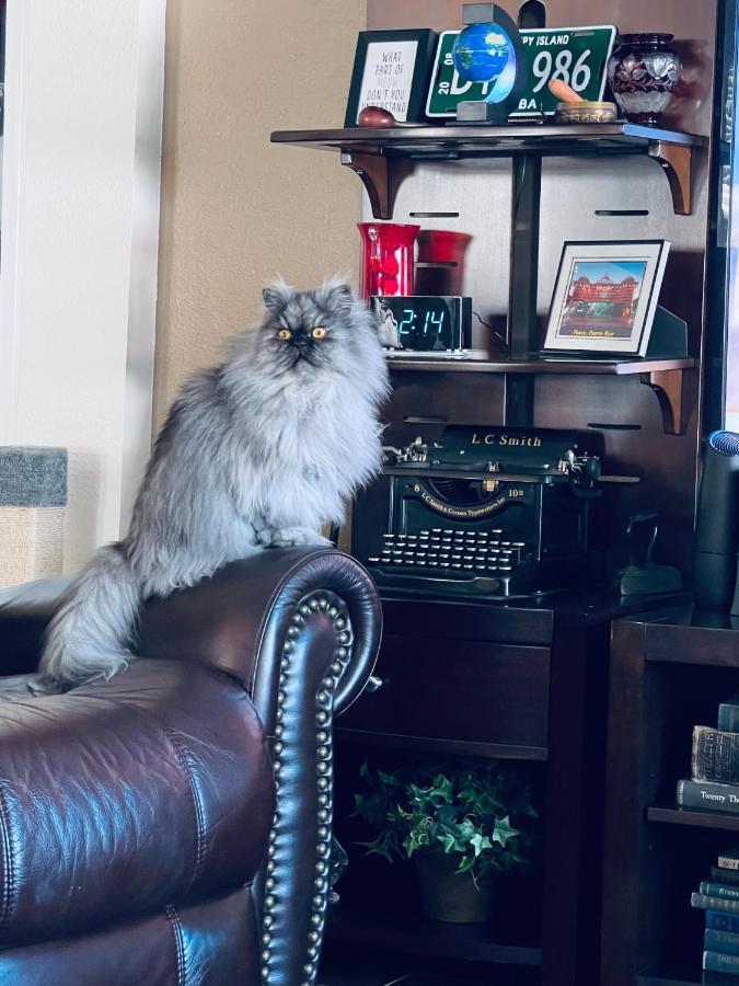 Ruskin Fl Private 2 Bdrm 1 Bath Suite Common Areas Shared With Host And Cat Kültér fotó