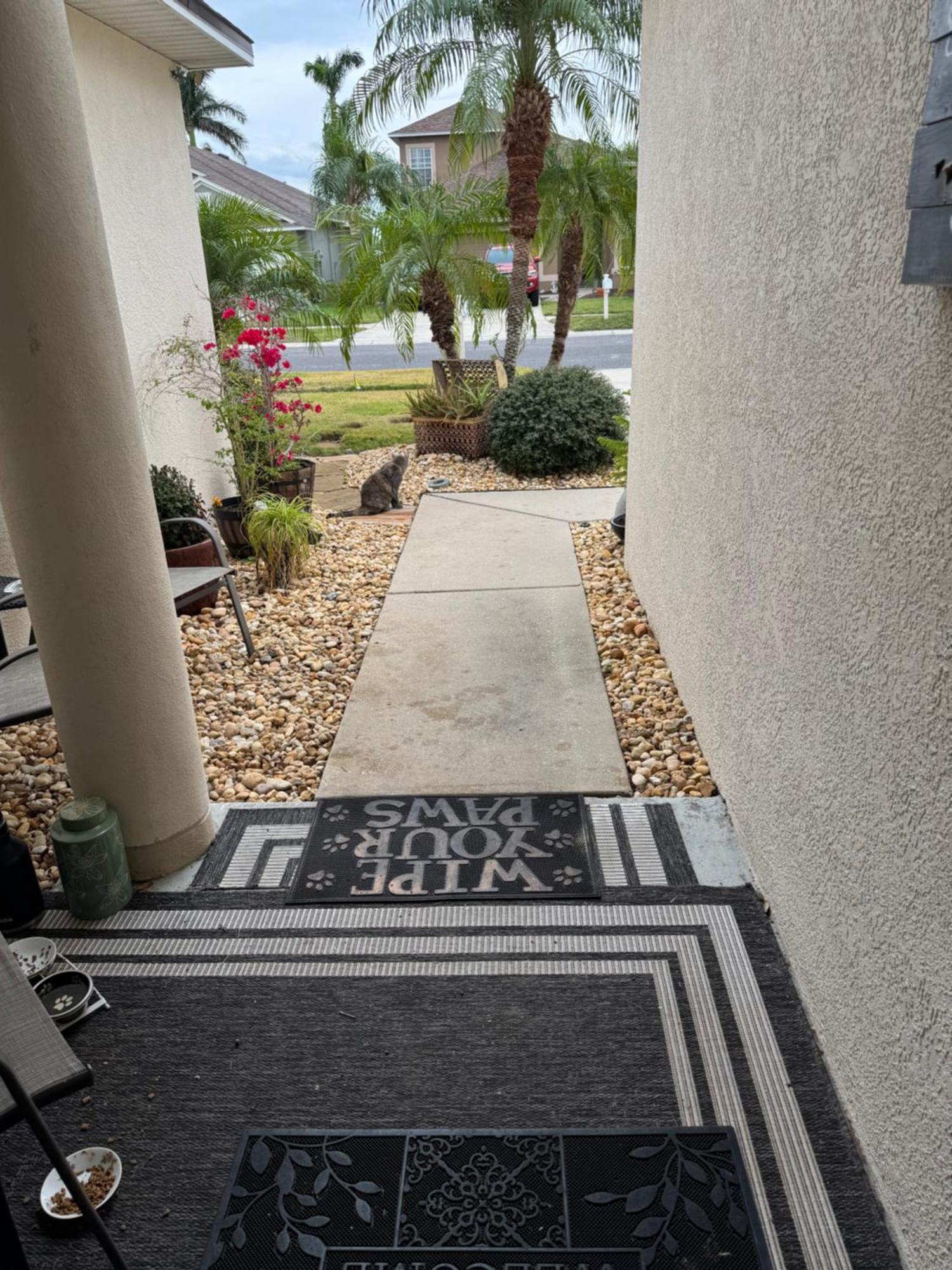 Ruskin Fl Private 2 Bdrm 1 Bath Suite Common Areas Shared With Host And Cat Kültér fotó