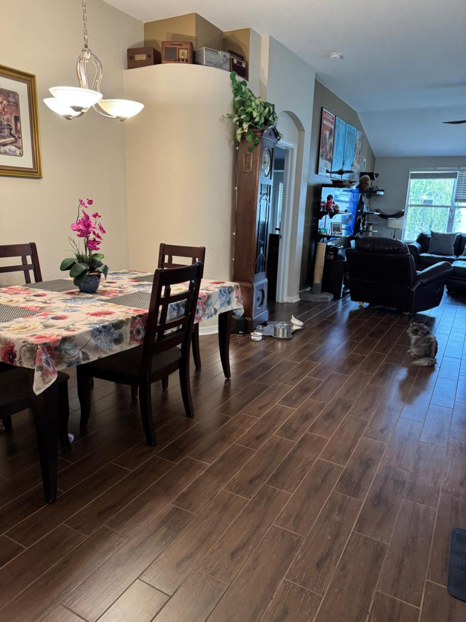 Ruskin Fl Private 2 Bdrm 1 Bath Suite Common Areas Shared With Host And Cat Kültér fotó