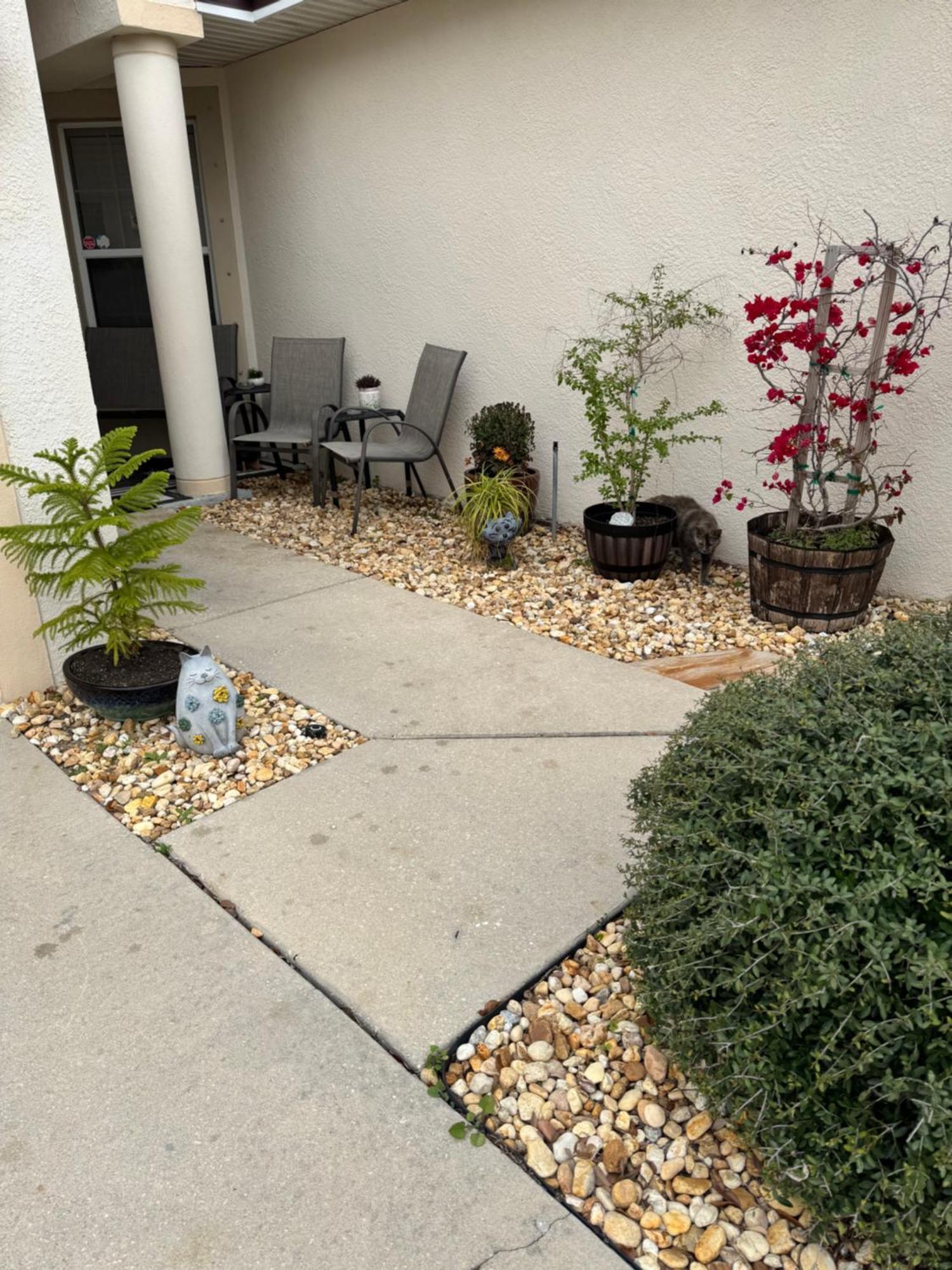 Ruskin Fl Private 2 Bdrm 1 Bath Suite Common Areas Shared With Host And Cat Kültér fotó